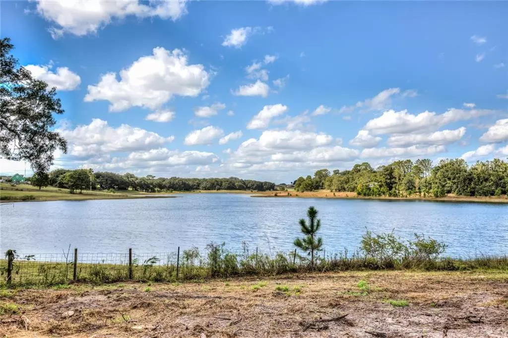 Weirsdale, FL 32195,xxx HWY 42