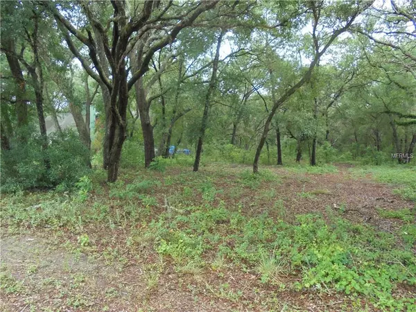 Lady Lake, FL 32159,LAKE GRIFFIN RD