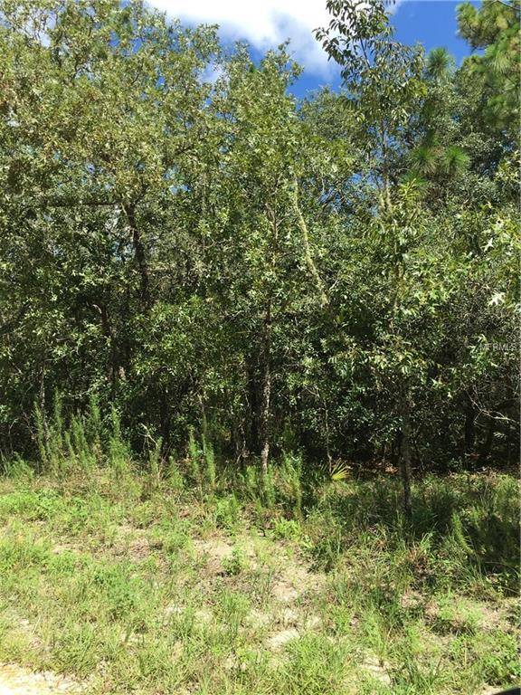8320 LITTLE STONE DR, Webster, FL 33597