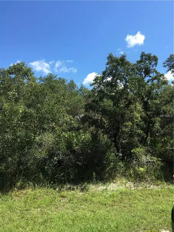 35163 UMBRELLA ROCK DR, Webster, FL 33597