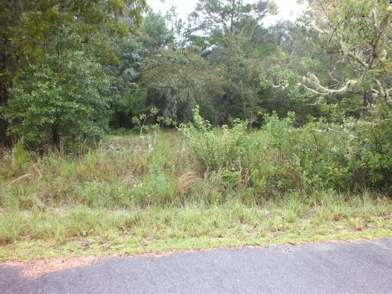 SW MOINES CT., Dunnellon, FL 34431