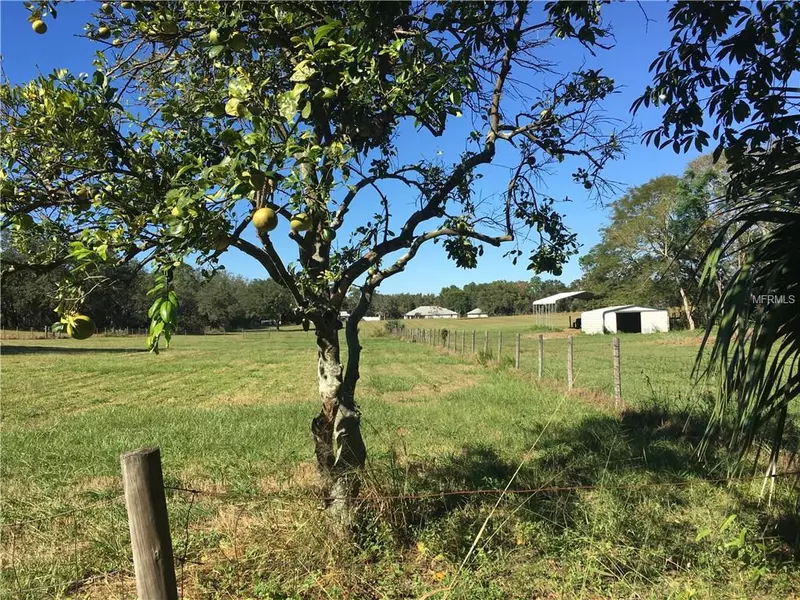 4821 SUNNYSIDE DR, Fruitland Park, FL 34731