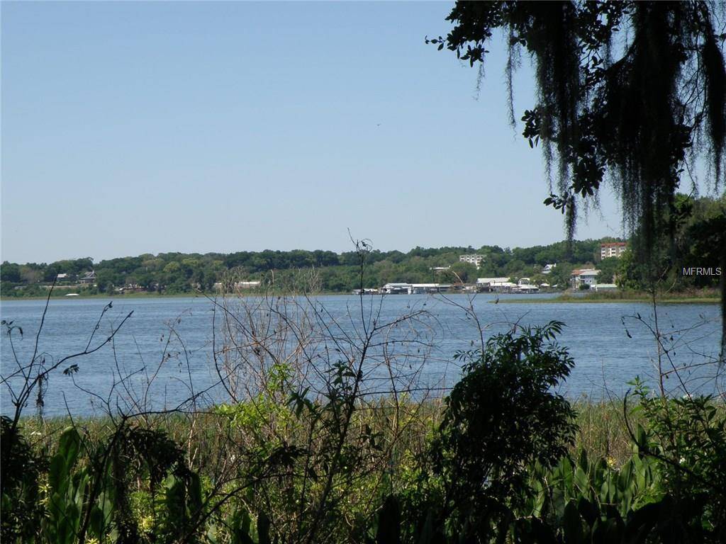 1230 NATURELAND CT, Mount Dora, FL 32757