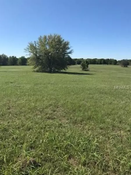 MOON RIVER DR, Groveland, FL 34736