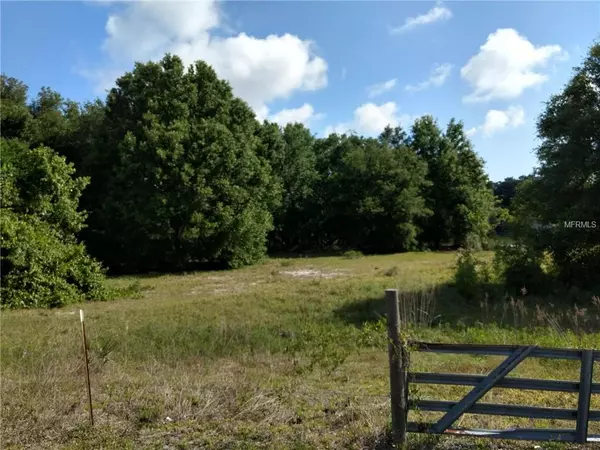 0 SE 173RD TERRACE RD, Weirsdale, FL 32195