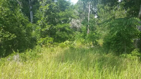 64 CT, Summerfield, FL 34491