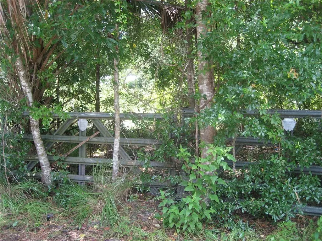 Bushnell, FL 33513,COUNTY ROAD 622B