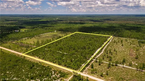 MAGGIE JONES RD, Paisley, FL 32767