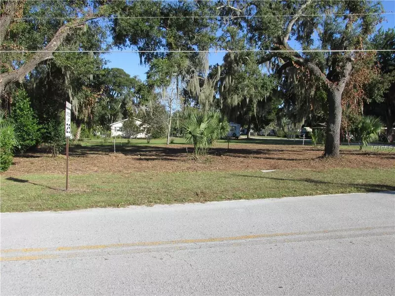 Lake Panasoffkee, FL 33538