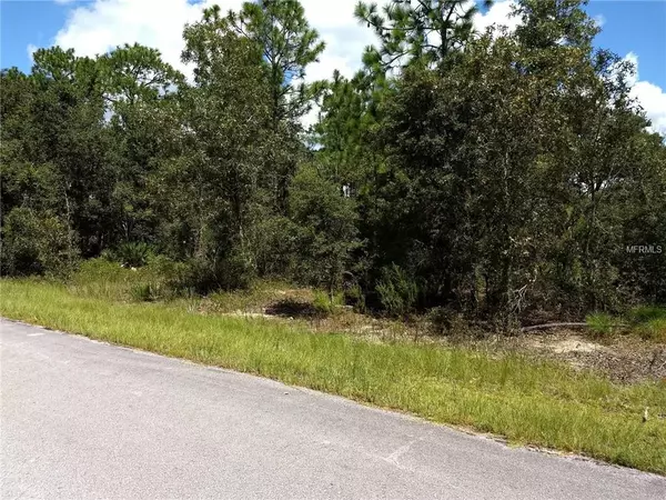 0 MALAUKA TRAK, Ocklawaha, FL 32179