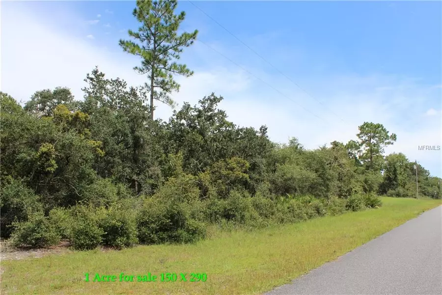 Lot 11 POINCIANA ST, Eustis, FL 32736