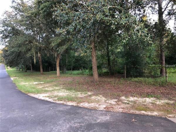 PALM AVE, Howey In The Hills, FL 34737