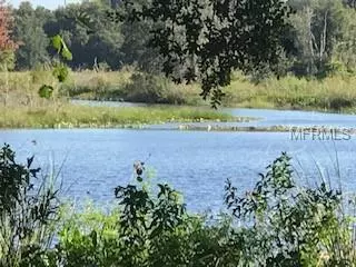INDIGO RD, Groveland, FL 34736