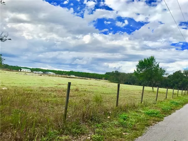 CORNER CR 202 & CR 223, Oxford, FL 34484