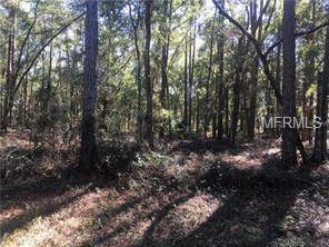 11039 N EDITH PT N #20, Citrus Springs, FL 34434