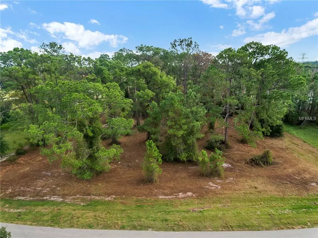 Clermont, FL 34715,ARROWTREE BLVD