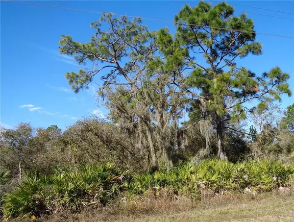 ROYAL TRAILS RD, Eustis, FL 32736