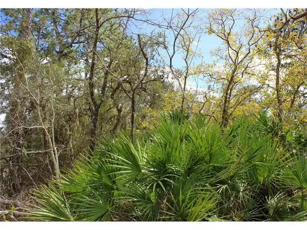 POINCIANA ST, Eustis, FL 32736