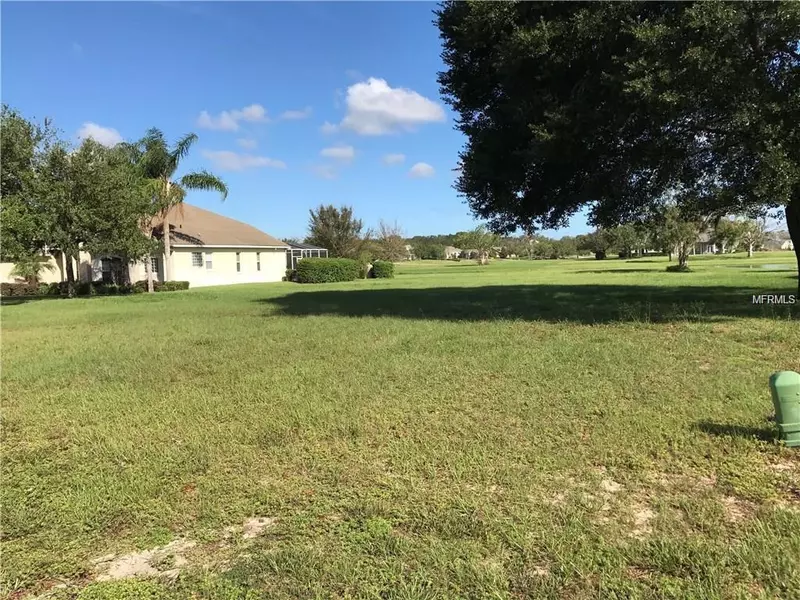 SPRING MOUNTAIN LN, Yalaha, FL 34797