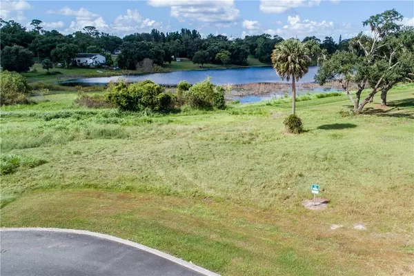 Eustis, FL 32726,LOT 16 TWO LAKES LN