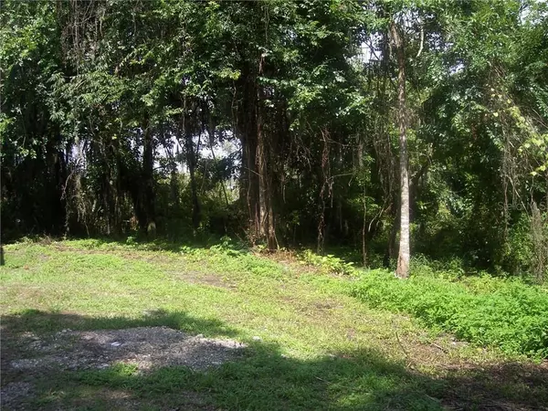 Lake Panasoffkee, FL 33538,708 CR 477A