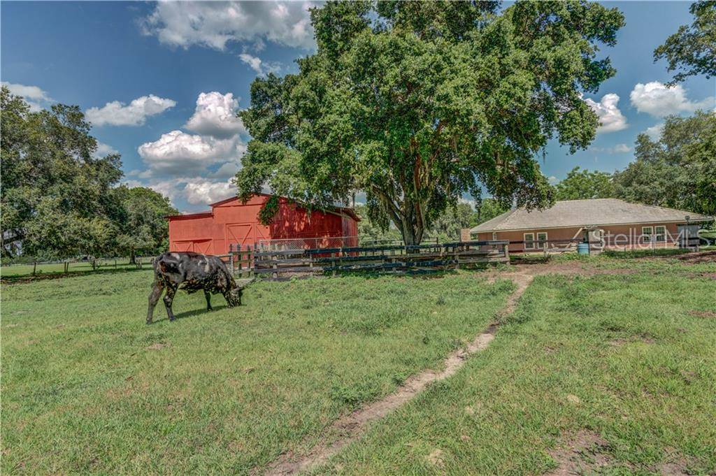 6415 SE 57TH RD, Center Hill, FL 33514