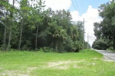 AVENUE B, Paisley, FL 32767