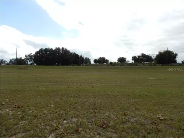 Groveland, FL 34736,18227 GREAT BLUE HERON (LOT #33) DR