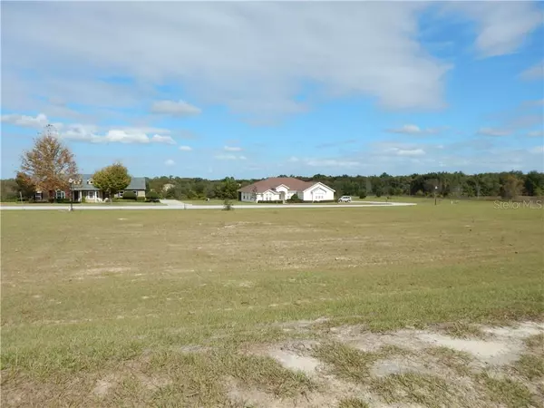 18227 GREAT BLUE HERON (LOT #33) DR, Groveland, FL 34736