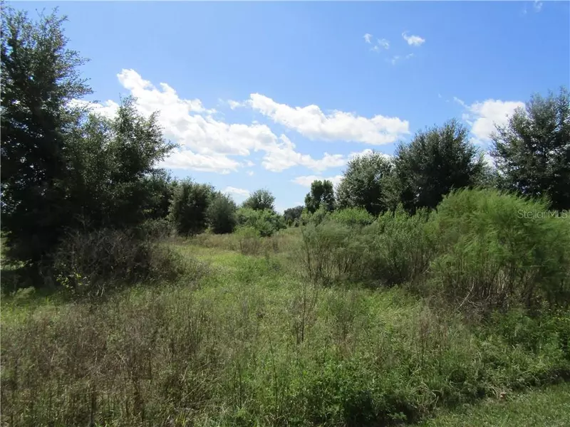 LAKE YALE RD, Umatilla, FL 32784