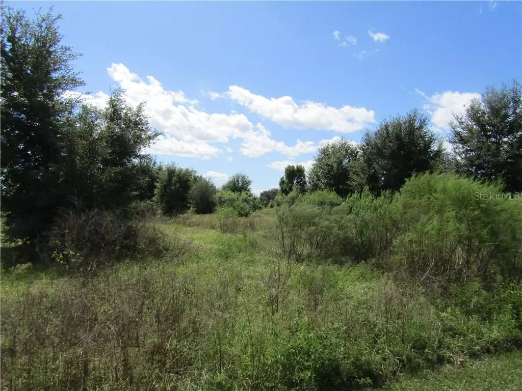 Umatilla, FL 32784,LAKE YALE RD