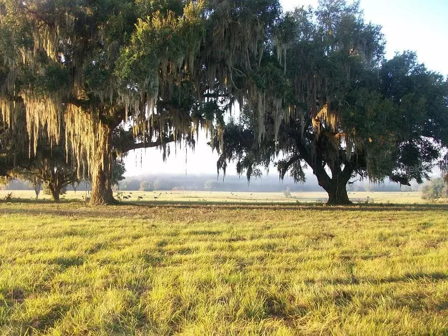 Center Hill, FL 33514,SE 55TH BLVD