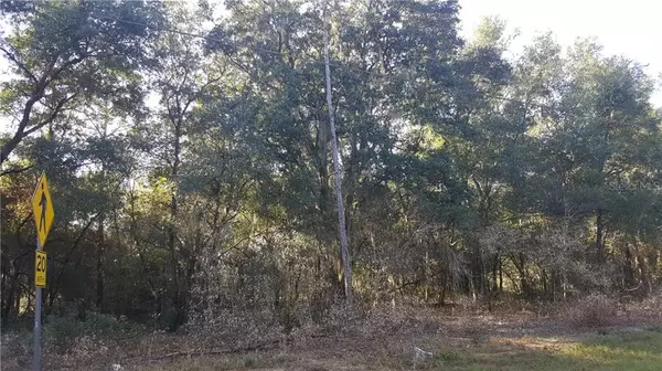 EAGLES NEST RD, Fruitland Park, FL 34731