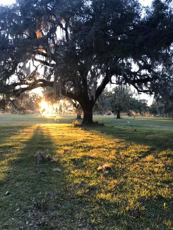 CR 311, Bushnell, FL 33513