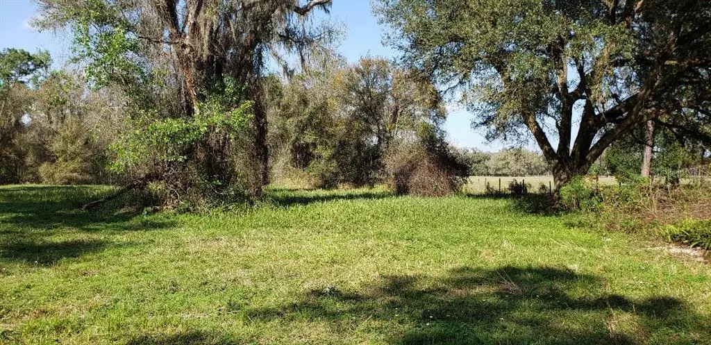 Bushnell, FL 33513,SW 80TH AVE