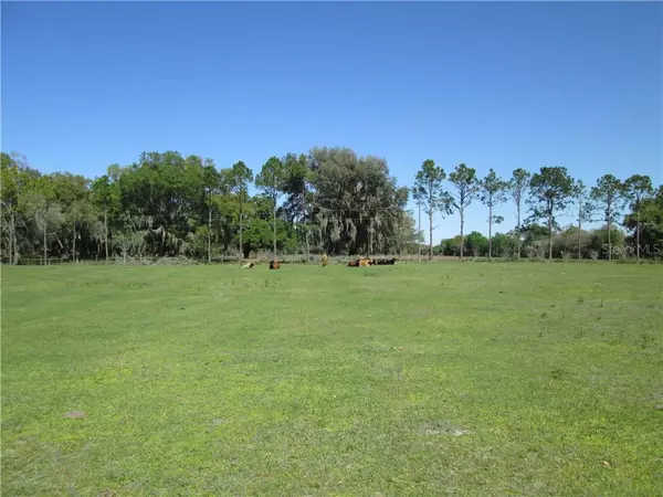 Center Hill, FL 33514,COUNTY ROAD 478