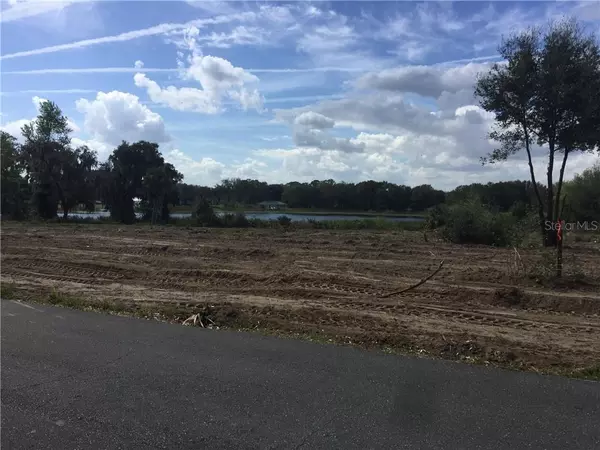 BABB RD, Umatilla, FL 32784