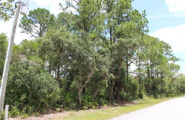 Lot 15 & 16 VITEX AVE, Eustis, FL 32736