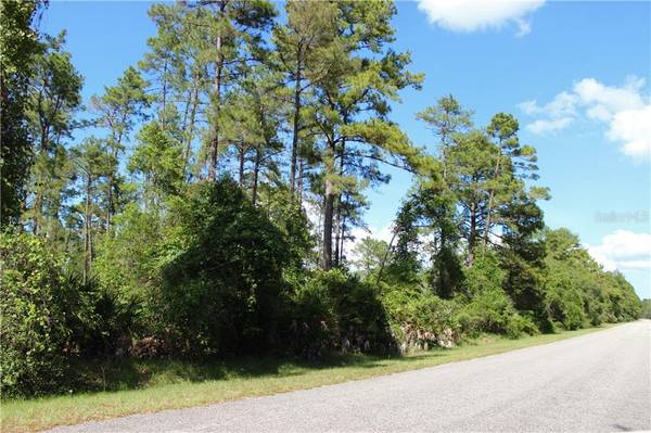 Lot 16 APRICOT AVE, Eustis, FL 32736