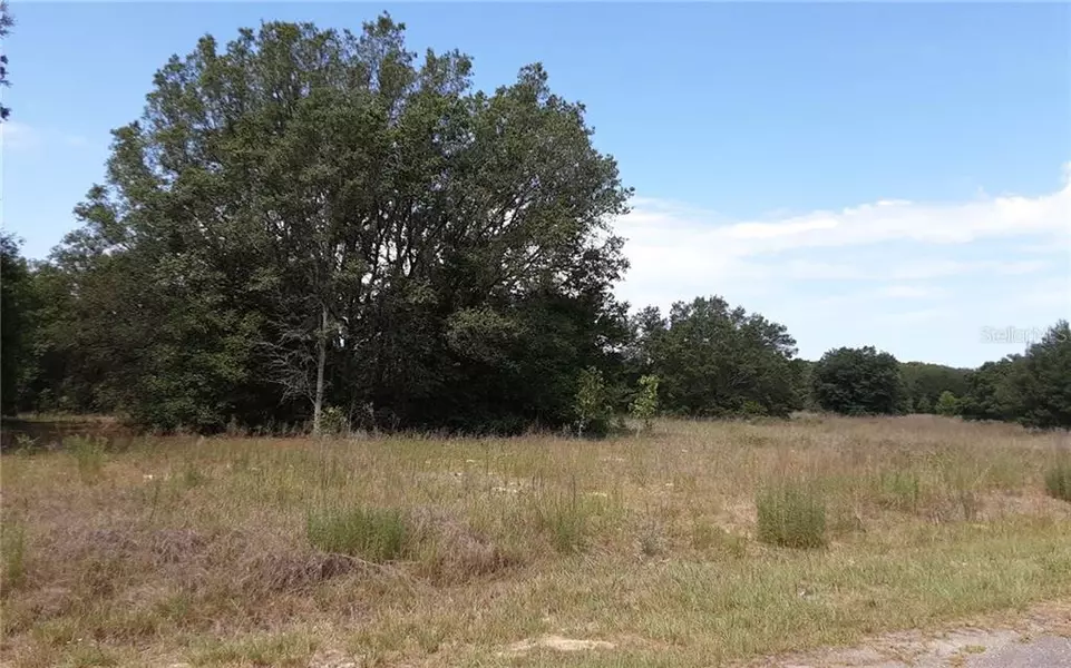 0000 GUAVA TRACK PASS, Ocklawaha, FL 32179