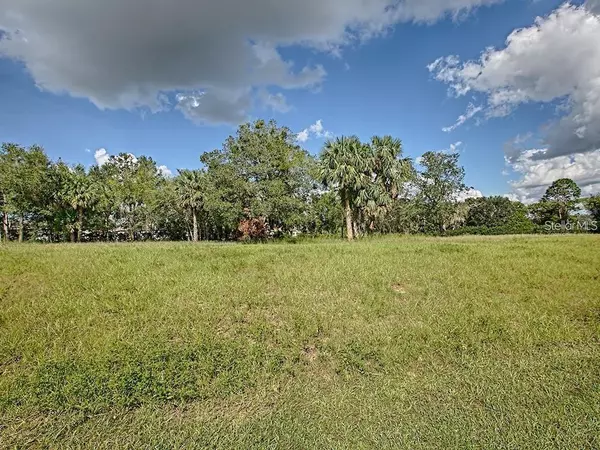 Eustis, FL 32726,LOT 7 TWO LAKES LN