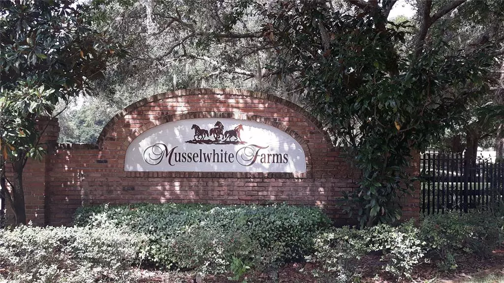 Tavares, FL 32778,29045 CAN DO LN