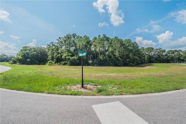 Section I Lot 27 CYPRESS POINTE, Tavares, FL 32778