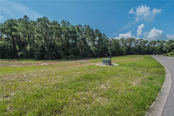 Tavares, FL 32778,Section I Lot 26 CYPRESS POINTE