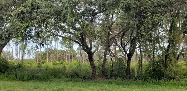 TREIMAN BLVD, Dade City, FL 33523