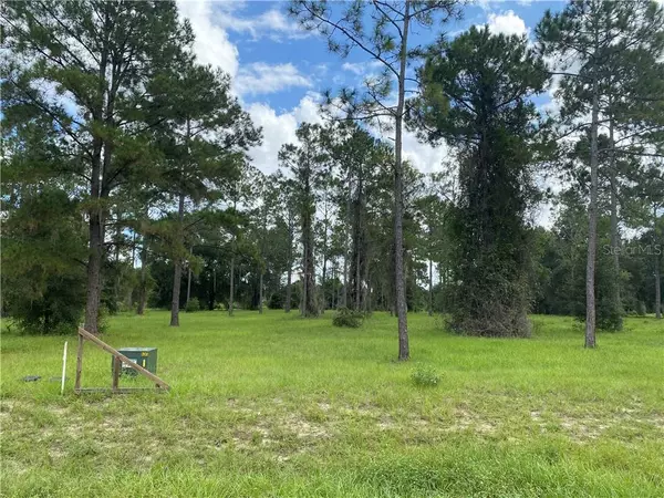 Groveland, FL 34736,BONSMARA DR