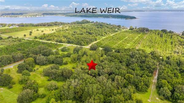 12350 SE SUNSET HARBOR RD, Weirsdale, FL 32195