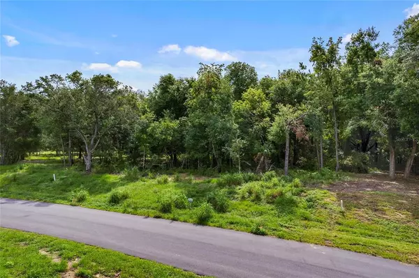 Clermont, FL 34715,TBD lot #15 WOLF SPRING CT