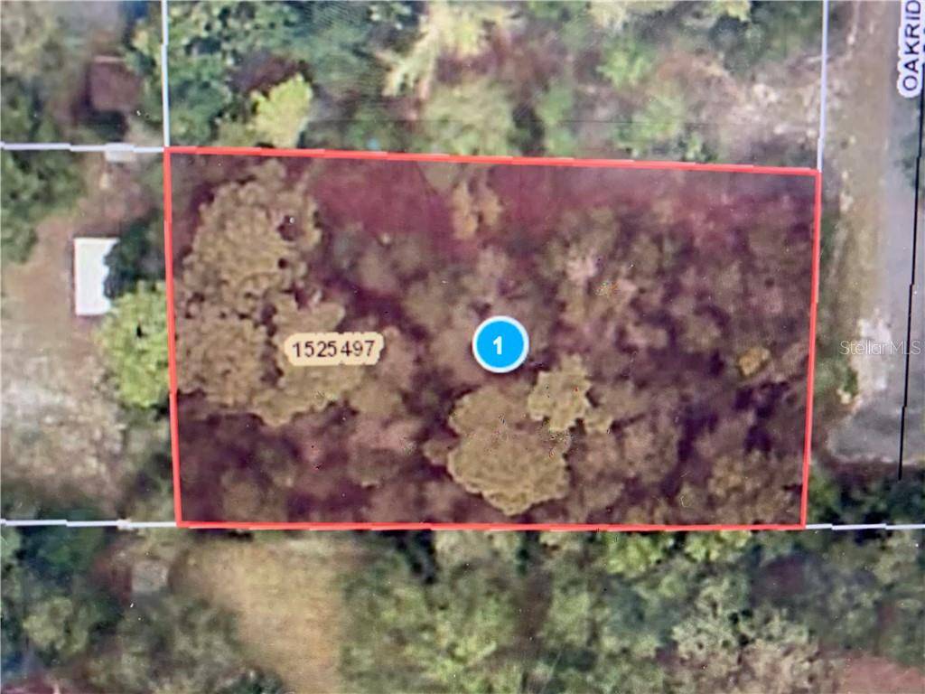 OAKRIDGE DR, Leesburg, FL 34788