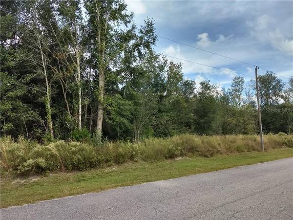 TBD SE 156TH PLACE RD, Summerfield, FL 34491